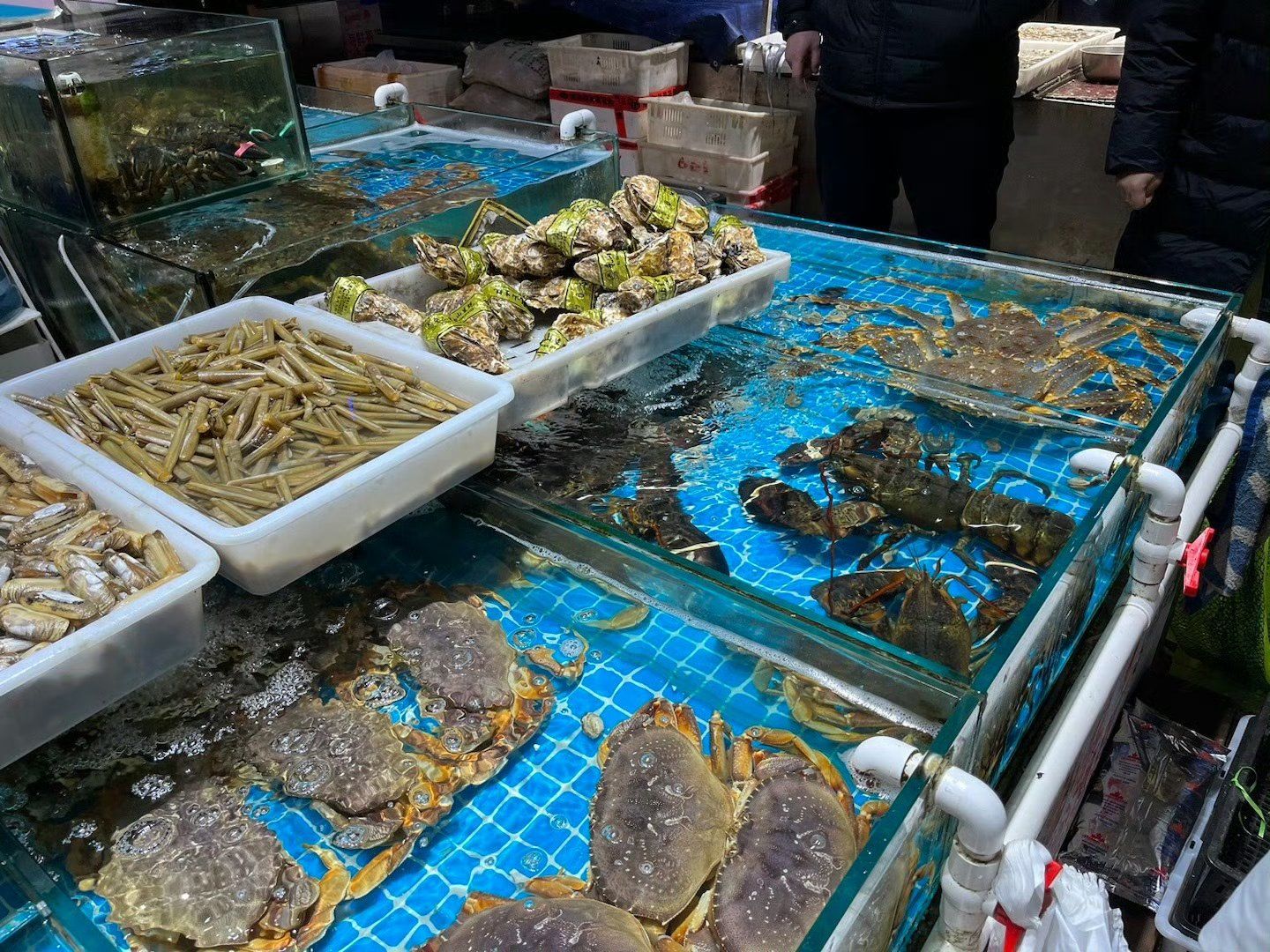 chinese wet markets